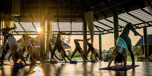 yoga teacher training in Hyderabad